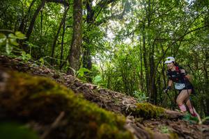 BIB: 3409
                            <button type="button" onclick="openModal(16009083)" class="btn btn-primary btn-sm float-right btn-popup" data-toggle="modal" data-target=".modal-high-quality">
                        <i class="fas fa-shopping-cart"></i> Add to Cart
                    </button>
                                            <button type="button" onclick="isThisMe(16009083, true)" class="btn btn-success btn-sm float-right btn-popup btn-isme hidden" data-toggle="tooltip" data-placement="bottom" title="นี่คือรูปของคุณใช่ไหม คลิกที่นี่เพื่อเอาเข้าอัลบั้ม">
                        <i class="fas fa-plus"></i> Add to album
                    </button>
                    <button type="button" onclick="isThisMe(16009083, false)" class="btn btn-warning btn-sm float-right btn-popup btn-isnotme hidden">
                        <i class="fas fa-ban"></i> Remove from album
                    </button>